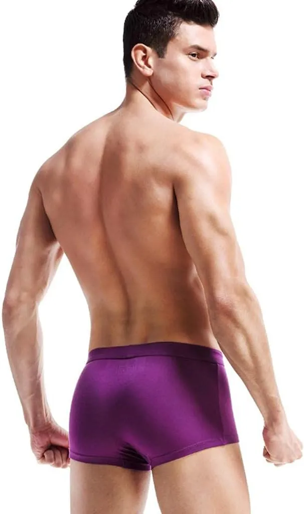 Mens Underwear with Pouch Men's Underwear Soft Viscose Boxer Briefs, Tagless Mens Boxer Briefs with Pouch Underpants